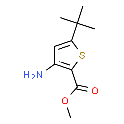 ChemSpider 2D Image | Methyl 3-amino-5-tert-butylthiophene-2-carboxylate | C10H15NO2S