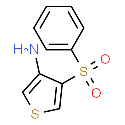 ChemSpider 2D Image | 4-(phenylsulfonyl)thien-3-ylamine | C10H9NO2S2