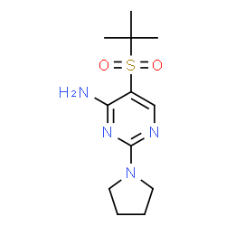 ChemSpider 2D Image | 5-(tert-Butylsulfonyl)-2-(pyrrolidin-1-yl)pyrimidin-4-amine | C12H20N4O2S