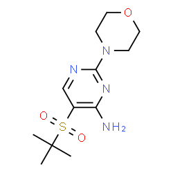 ChemSpider 2D Image | 5-(TERT-BUTYLSULFONYL)-2-MORPHOLINOPYRIMIDIN-4-AMINE | C12H20N4O3S