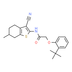 ChemSpider 2D Image | 2-(2-tert-Butylphenoxy)-N-(3-cyano-6-methyl-4,5,6,7-tetrahydro-1-benzothiophen-2-yl)acetamide | C22H26N2O2S