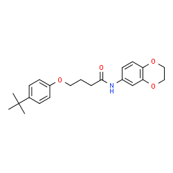 ChemSpider 2D Image | 4-(4-tert-Butylphenoxy)-N-(2,3-dihydro-1,4-benzodioxin-6-yl)butanamide | C22H27NO4