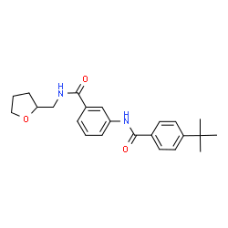 ChemSpider 2D Image | 3-{[4-(2-Methyl-2-propanyl)benzoyl]amino}-N-(tetrahydro-2-furanylmethyl)benzamide | C23H28N2O3