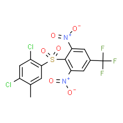 ChemSpider 2D Image | 2-[(2,4-Dichloro-5-methylphenyl)sulfonyl]-1,3-dinitro-5-(trifluoromethyl)benzene | C14H7Cl2F3N2O6S