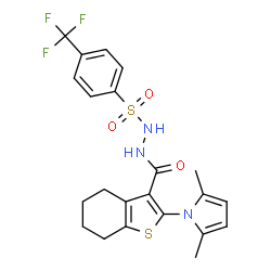 ChemSpider 2D Image | 2-(2,5-Dimethyl-1H-pyrrol-1-yl)-N'-{[4-(trifluoromethyl)phenyl]sulfonyl}-4,5,6,7-tetrahydro-1-benzothiophene-3-carbohydrazide | C22H22F3N3O3S2