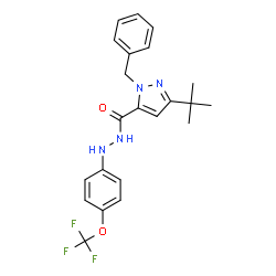 ChemSpider 2D Image | 1-benzyl-3-(tert-butyl)-N'-[4-(trifluoromethoxy)phenyl]-1H-pyrazole-5-carbohydrazide | C22H23F3N4O2