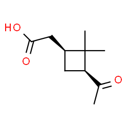 ChemSpider 2D Image | (1S,3S)-cis-Pinonic acid | C10H16O3