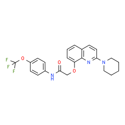 ChemSpider 2D Image | 2-{[2-(1-Piperidinyl)-8-quinolinyl]oxy}-N-[4-(trifluoromethoxy)phenyl]acetamide | C23H22F3N3O3