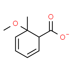 ChemSpider 2D Image | 6-Methoxy-6-methyl-2,4-cyclohexadiene-1-carboxylate | C9H11O3