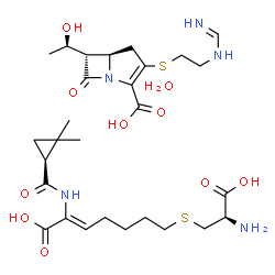 ChemSpider 2D Image | (2Z)-7-{[(2R)-2-amino-2-carboxyethyl]sulfanyl}-2-({[(1S)-2,2-dimethylcyclopropyl]carbonyl}amino)hept-2-enoic acid - (5R,6S)-6-[(1R)-1-hydroxyethyl]-3-({2-[(iminomethyl)amino]ethyl}sulfanyl)-7-oxo-1-azabicyclo[3.2.0]hept-2-ene-2-carboxylic acid hydrate (1:1:1) | C28H45N5O10S2