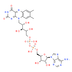 ChemSpider 2D Image | [(2R,3S,4R,5R)-5-(6-aminopurin-9-yl)-3,4-dihydroxy-tetrahydrofuran-2-yl]methyl [[(3S,4S)-5-(7,8-dimethyl-2,4-dioxo-benzo[g]pteridin-10-yl)-2,3,4-trihydroxy-pentoxy]-hydroxy-phosphoryl] hydrogen phosphate | C27H33N9O15P2