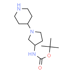 ChemSpider 2D Image | tert-butyl (1-(piperidin-4-yl)pyrrolidin-3-yl)carbamate | C14H27N3O2