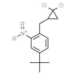 ChemSpider 2D Image | 1-[(2,2-Dichlorocyclopropyl)methyl]-4-(2-methyl-2-propanyl)-2-nitrobenzene | C14H17Cl2NO2