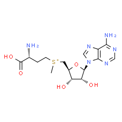 ChemSpider 2D Image | [(3R)-3-Amino-3-carboxypropyl]{[(2S,3S,4R,5R)-5-(6-amino-9H-purin-9-yl)-3,4-dihydroxytetrahydro-2-furanyl]methyl}methylsulfonium | C15H23N6O5S