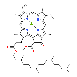 ChemSpider 2D Image | [Methyl (3S,4S)-14-ethyl-4,8,13,18-tetramethyl-20-oxo-3-(3-oxo-3-{[(2E)-3,7,11,15-tetramethyl-2-hexadecen-1-yl]oxy}propyl)-9-vinyl-21-phorbinecarboxylatato(2-)-kappa~2~N,N']magnesium | C55H72MgN4O5