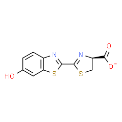 ChemSpider 2D Image | (4S)-2-(6-Hydroxy-1,3-benzothiazol-2-yl)-4,5-dihydro-1,3-thiazole-4-carboxylate | C11H7N2O3S2