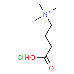 ChemSpider 2D Image | BP3850000 | C7H16ClNO2