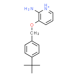 ChemSpider 2D Image | 2-Amino-3-{[4-(2-methyl-2-propanyl)benzyl]oxy}pyridinium | C16H21N2O