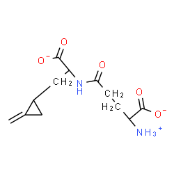 ChemSpider 2D Image | 2-Ammonio-5-{[1-carboxylato-2-(2-methylenecyclopropyl)ethyl]amino}-5-oxopentanoate | C12H17N2O5