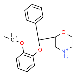 ChemSpider 2D Image | 2-[(2-Ethoxyphenoxy)(phenyl)methyl]morpholin-4-ium | C19H24NO3