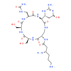 ChemSpider 2D Image | (3S)-3,6-diamino-N-[(3S,9S,12S,15S)-3-[(4S,6R)-2-amino-4-hydroxy-1,4,5,6-tetrahydropyrimidin-6-yl]-6-[(carbamoylamino)methylidene]-9,12-bis(hydroxymethyl)-2,5,8,11,14-pentaoxo-1,4,7,10,13-pentazacyclohexadec-15-yl]hexanamide | C25H43N13O10