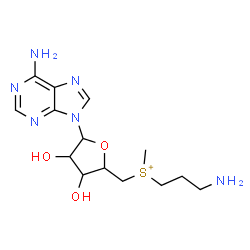 ChemSpider 2D Image | 3-aminopropyl-[[(2R,3R,4R,5S)-5-(6-aminopurin-9-yl)-3,4-dihydroxy-tetrahydrofuran-2-yl]methyl]-methyl-sulfonium | C14H23N6O3S