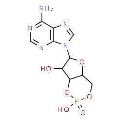 ChemSpider 2D Image | 6-(6-Amino-9H-purin-9-yl)tetrahydro-4H-furo[3,2-d][1,3,2]dioxaphosphinine-2,7-diol 2-oxide | C10H12N5O6P