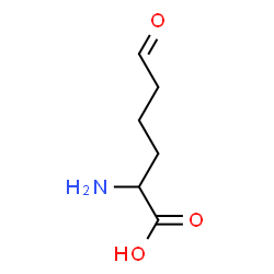 ChemSpider 2D Image | 6-Oxonorleucine | C6H11NO3