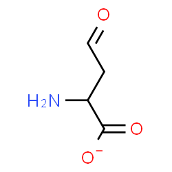 ChemSpider 2D Image | 2-Amino-4-oxobutanoate | C4H6NO3