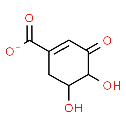 ChemSpider 2D Image | 4,5-Dihydroxy-3-oxo-1-cyclohexene-1-carboxylatato(2-) | C7H7O5