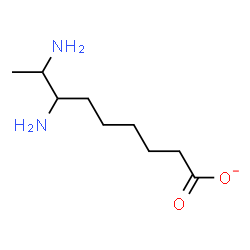 ChemSpider 2D Image | 7,8-Diaminononanoate | C9H19N2O2