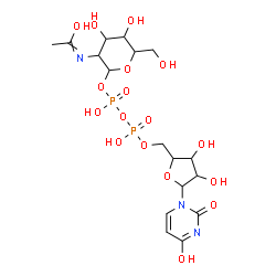 ChemSpider 2D Image | 3-Acetamido-4,5-dihydroxy-6-(hydroxymethyl)tetrahydro-2H-pyran-2-yl [5-(2,4-dioxo-3,4-dihydro-1(2H)-pyrimidinyl)-3,4-dihydroxytetrahydro-2-furanyl]methyl dihydrogen diphosphate | C17H27N3O17P2