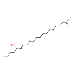 ChemSpider 2D Image | 16-Hydroxy-5,8,11,14-icosatetraenoate | C20H31O3