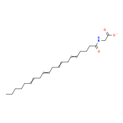 ChemSpider 2D Image | (5,8,11,14-Icosatetraenoylamino)acetate | C22H34NO3
