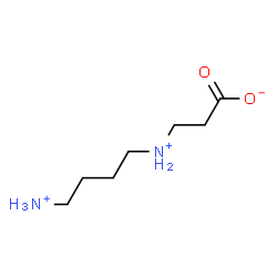 ChemSpider 2D Image | 3-[(4-Ammoniobutyl)ammonio]propanoate | C7H17N2O2