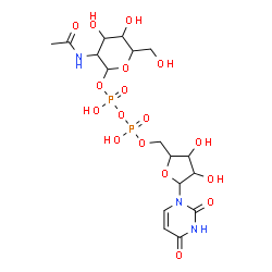ChemSpider 2D Image | 3-Acetamido-4,5-dihydroxy-6-(hydroxymethyl)tetrahydro-2H-pyran-2-yl [5-(2,4-dioxo-3,4-dihydro-1(2H)-pyrimidinyl)-3,4-dihydroxytetrahydro-2-furanyl]methyl dihydrogen diphosphate | C17H27N3O17P2