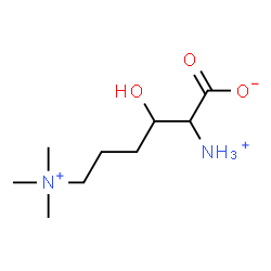 ChemSpider 2D Image | 2-Ammonio-2,4,5,6-tetradeoxy-6-(trimethylammonio)hexonate | C9H21N2O3
