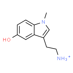 ChemSpider 2D Image | 2-(5-Hydroxy-1-methyl-1H-indol-3-yl)ethanaminium | C11H15N2O