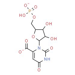 ChemSpider 2D Image | 3-[5-O-(Hydroxyphosphinato)pentofuranosyl]-2,6-dioxo-1,2,3,6-tetrahydro-4-pyrimidinecarboxylate | C10H11N2O11P