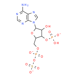 ChemSpider 2D Image | 9-{3-O-(Hydroxyphosphinato)-5-O-[(sulfonatooxy)phosphinato]pentofuranosyl}-9H-purin-6-amine | C10H12N5O13P2S