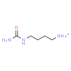 ChemSpider 2D Image | 4-(Carbamoylamino)-1-butanaminium | C5H14N3O