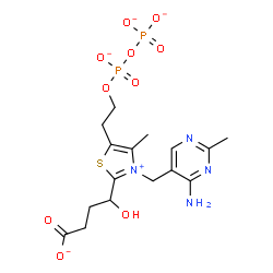 ChemSpider 2D Image | 4-{3-[(4-Amino-2-methyl-5-pyrimidinyl)methyl]-4-methyl-5-(2-{[(phosphonatooxy)phosphinato]oxy}ethyl)-1,3-thiazol-3-ium-2-yl}-4-hydroxybutanoatato(2-) | C16H21N4O10P2S