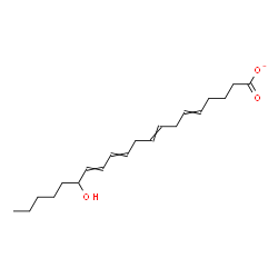 ChemSpider 2D Image | 15-Hydroxy-5,8,11,13-icosatetraenoate | C20H31O3