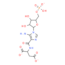 ChemSpider 2D Image | 5-Amino-N-(1,2-dicarboxylatoethyl)-1-[5-O-(hydroxyphosphinato)pentofuranosyl]-1H-imidazole-4-carboxamide | C13H16N4O12P