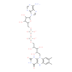 ChemSpider 2D Image | [[(2R,3S,4S,5R)-5-(6-aminopurin-9-yl)-3,4-dihydroxy-tetrahydrofuran-2-yl]methoxy-oxido-phosphoryl] [(2R,3S,4S)-5-(7,8-dimethyl-2,4-dioxo-1,5-dihydrobenzo[g]pteridin-10-yl)-2,3,4-trihydroxy-pentyl] phosphate | C27H33N9O15P2