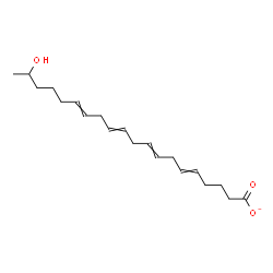 ChemSpider 2D Image | 19-Hydroxy-5,8,11,14-icosatetraenoatato | C20H31O3