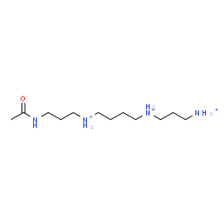 ChemSpider 2D Image | N-(3-Acetamidopropyl)-N'-(3-ammoniopropyl)-1,4-butanediaminiumato(3-) | C12H31N4O