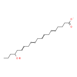 ChemSpider 2D Image | 17-Hydroxy-5,8,11,14-icosatetraenoate | C20H31O3