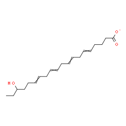 ChemSpider 2D Image | 18-Hydroxy-5,8,11,14-icosatetraenoate | C20H31O3