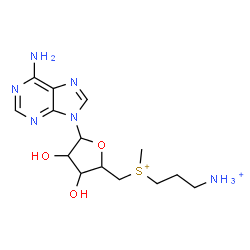 ChemSpider 2D Image | 3-[[(2R,3R,4R,5S)-5-(6-aminopurin-9-yl)-3,4-dihydroxy-tetrahydrofuran-2-yl]methyl-methyl-sulfonio]propylammonium | C14H24N6O3S